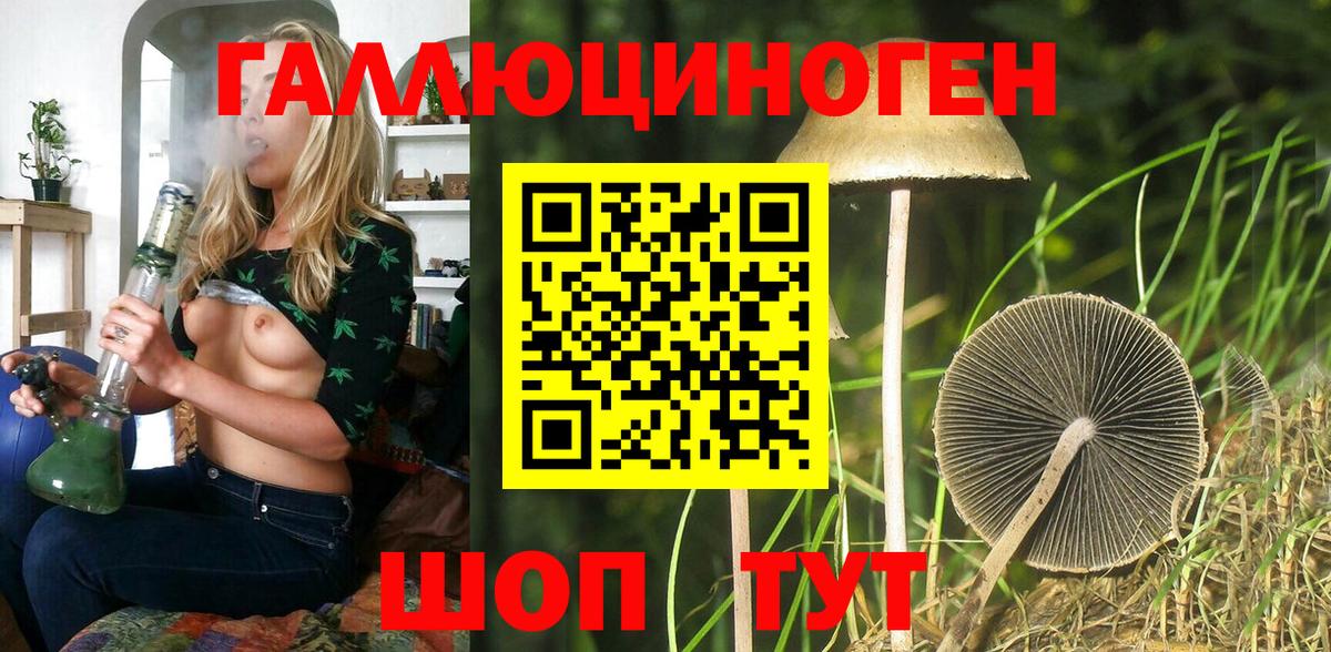 Псилоцибиновые грибы Cubensis Севастополь