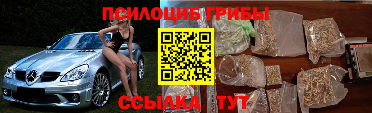 Севастополь  Псилоцибиновые грибы GOLDEN TEACHER  Вход с VPN 